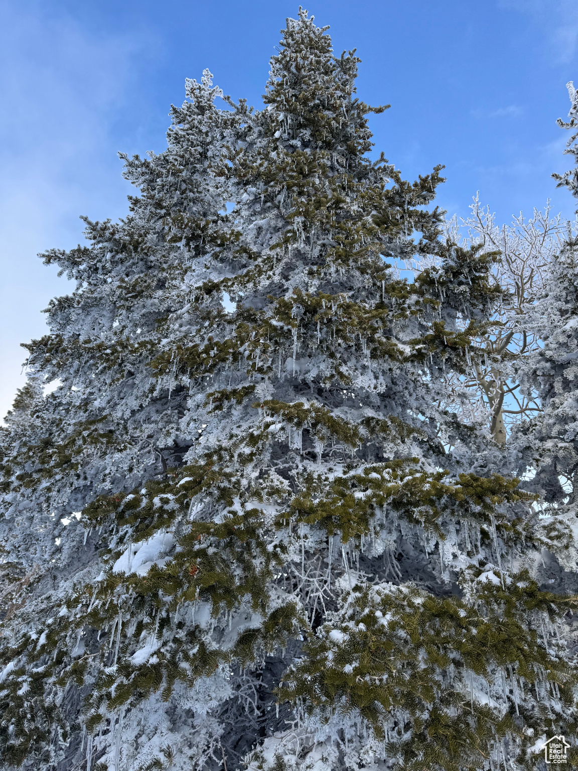 POWDER MOUNTAIN WEST - Land