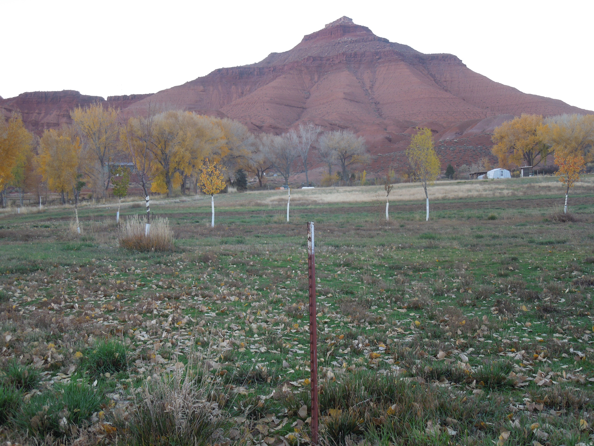 CASTLE VALLEY RIVER RANCHOS - Land