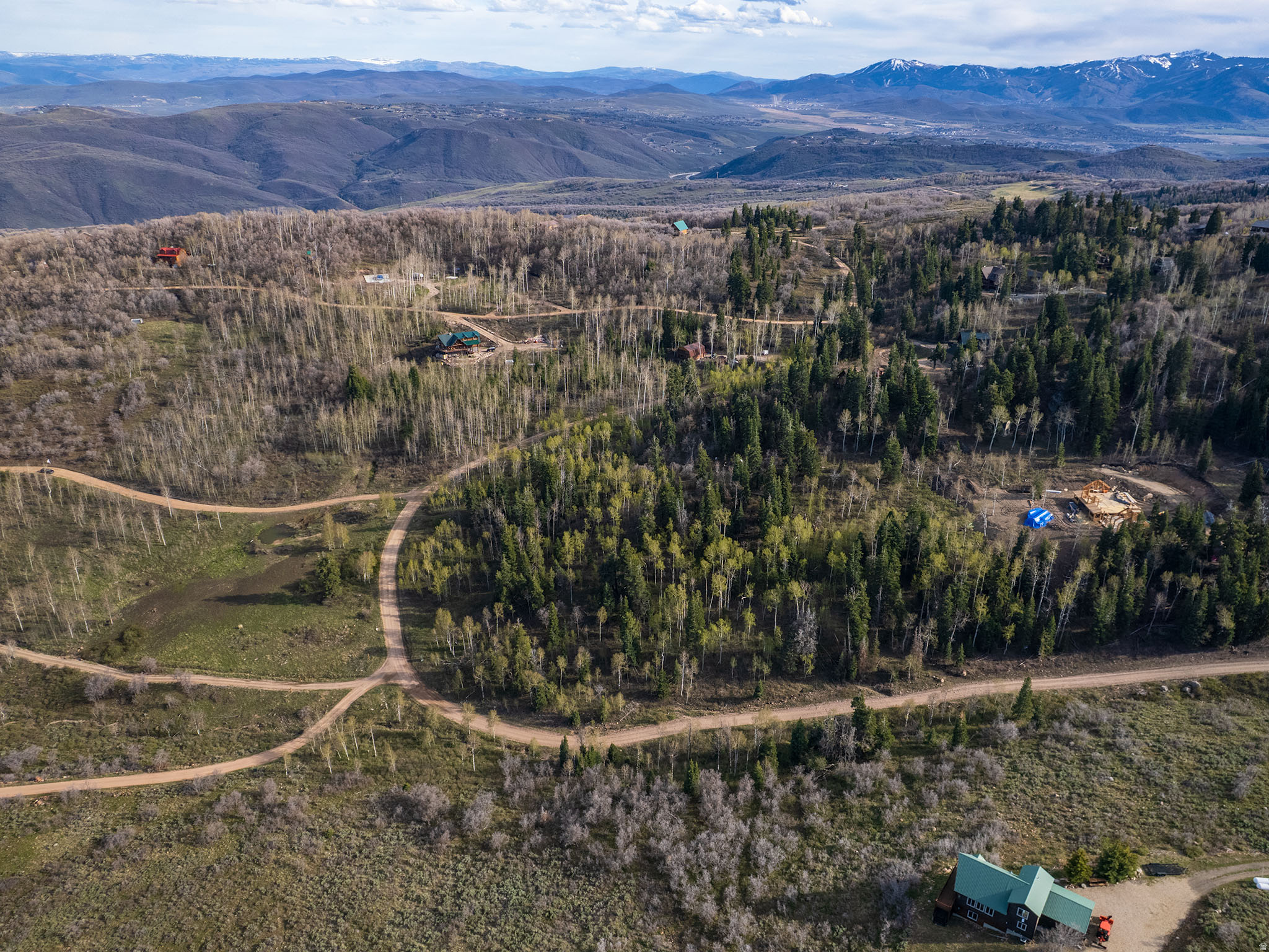FOREST MEADOW - Land