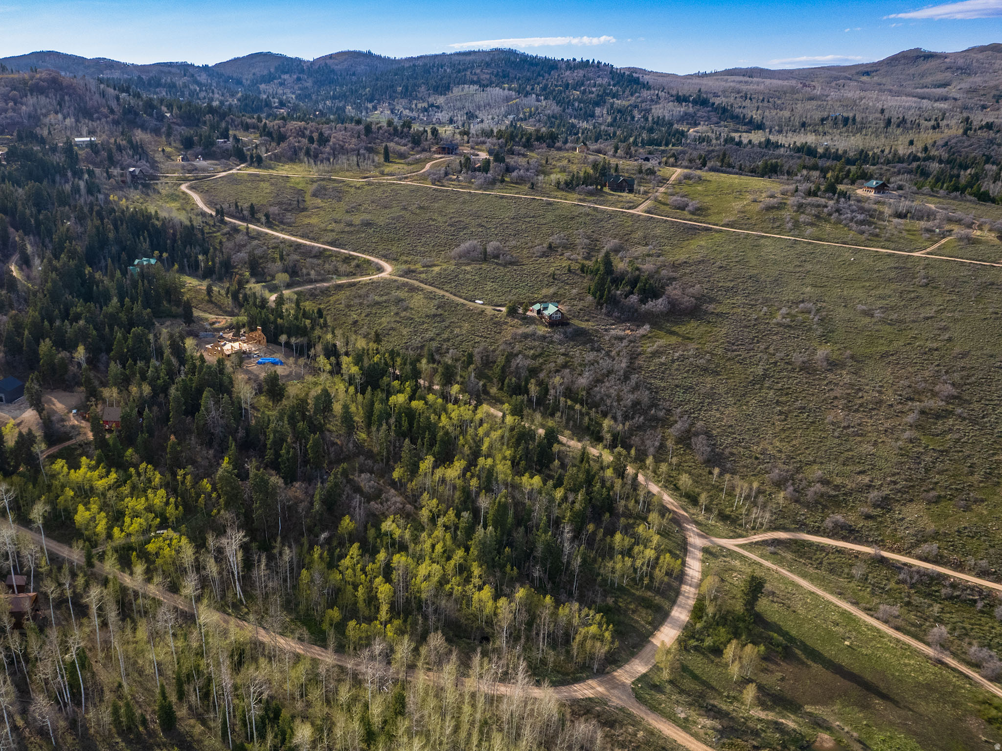 FOREST MEADOW - Land