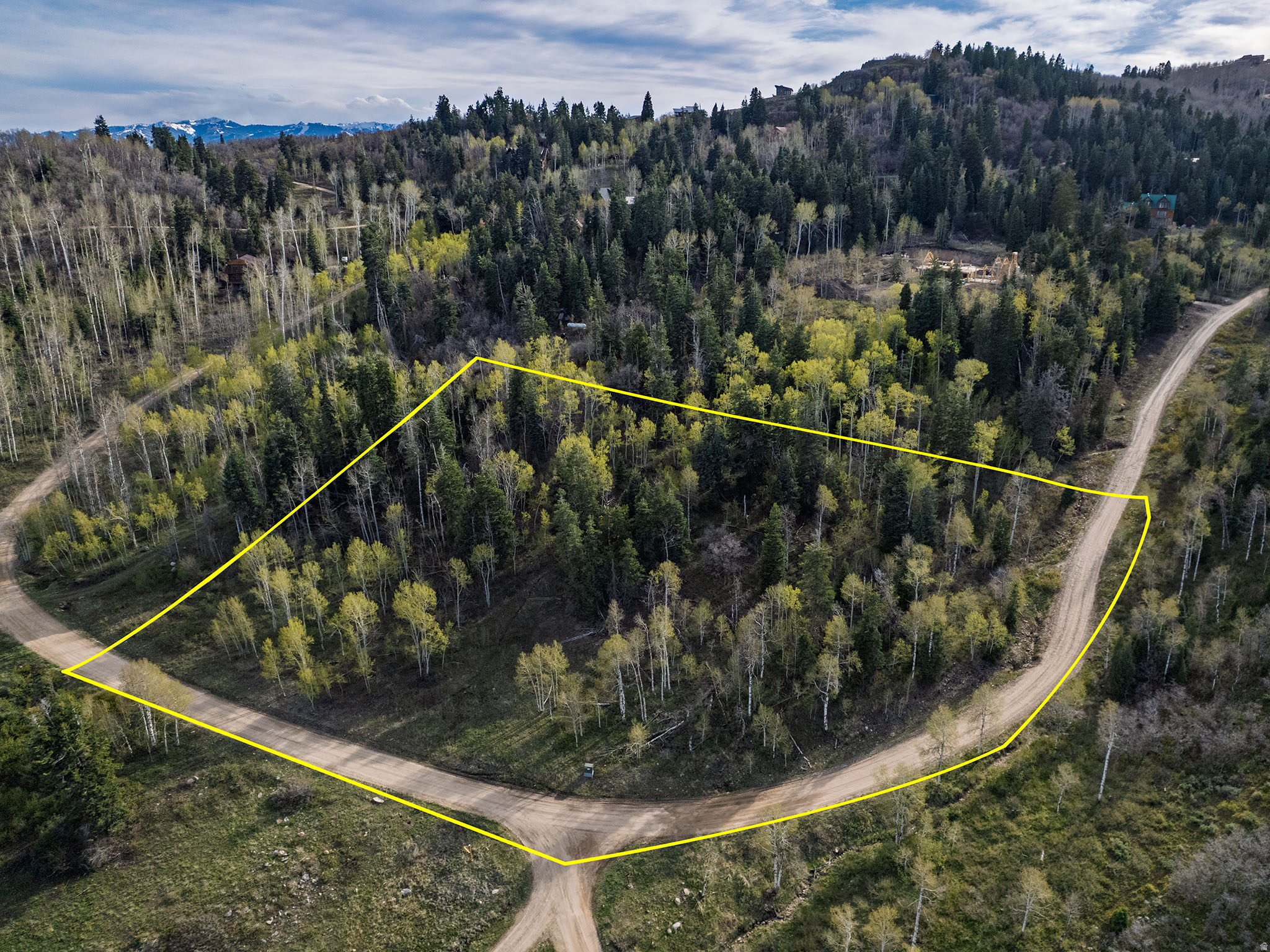 FOREST MEADOW - Land