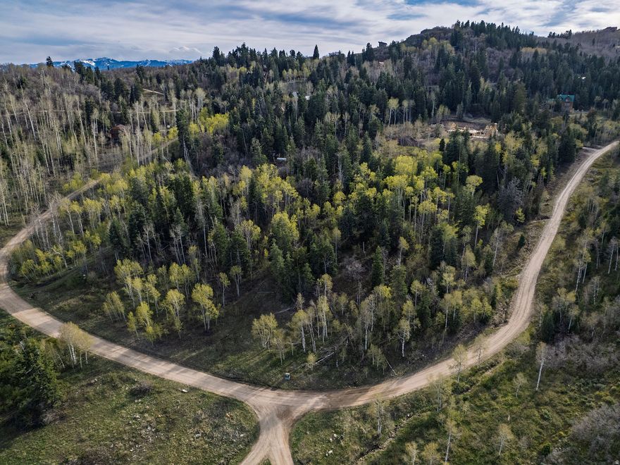 Secluded and serene, this beautiful Tollgate property offers privacy, mature trees, views, easy access from two main routes, and extra room to breathe. With a gentle slope that makes building easy and plenty of space to spread out, it's the perfect setting to create your dream retreat or primary home.