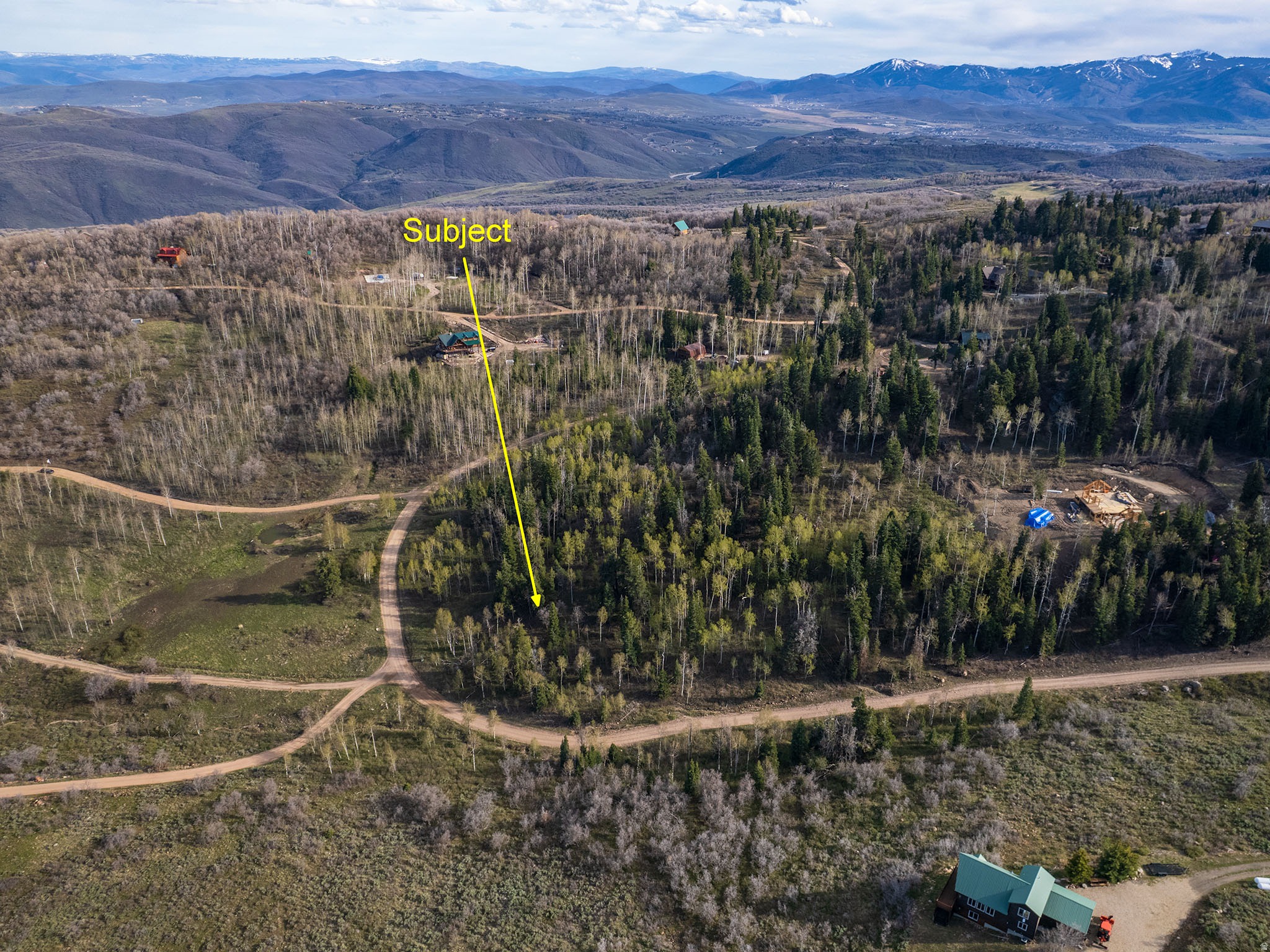 FOREST MEADOW - Land