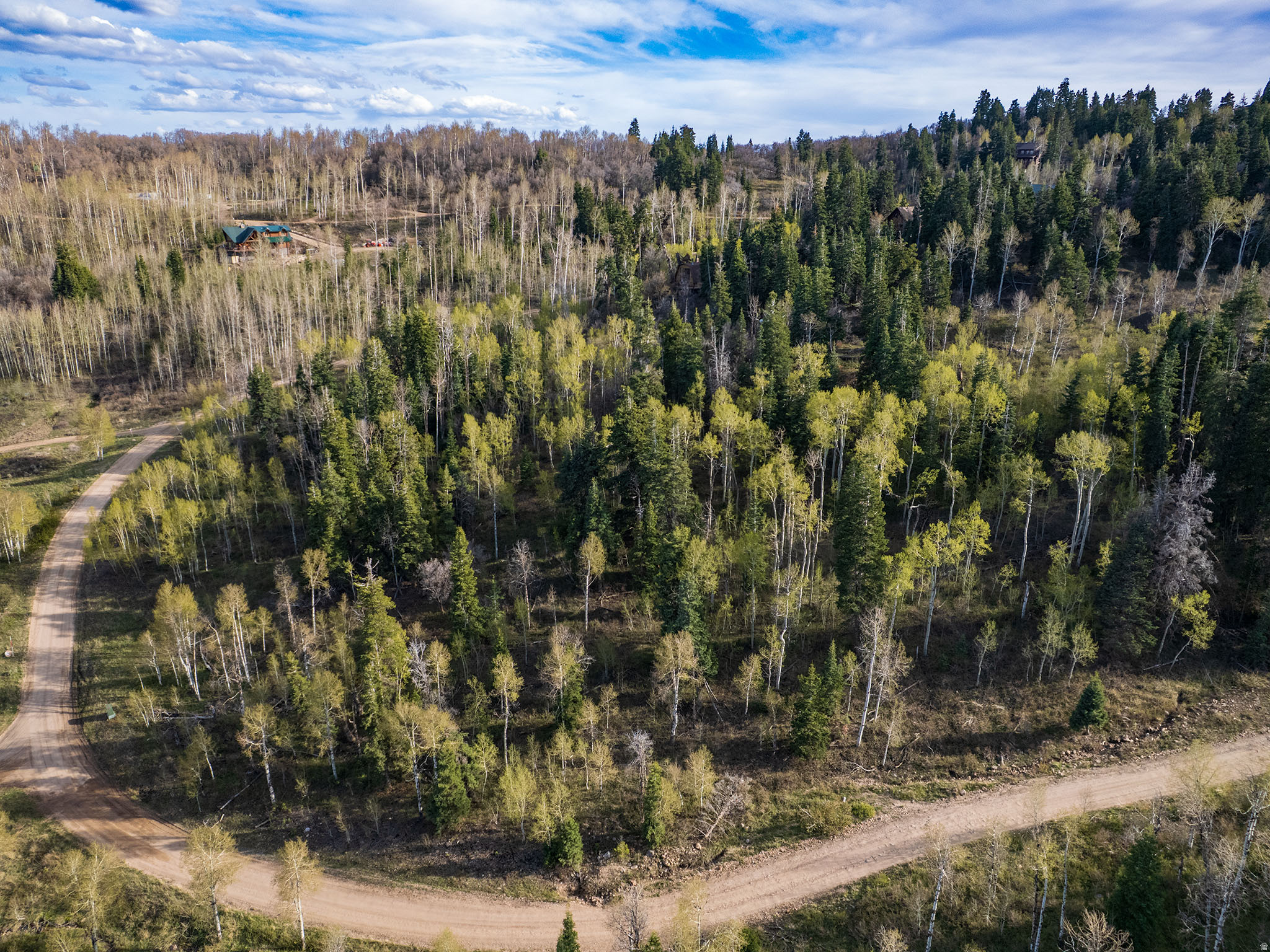 FOREST MEADOW - Land