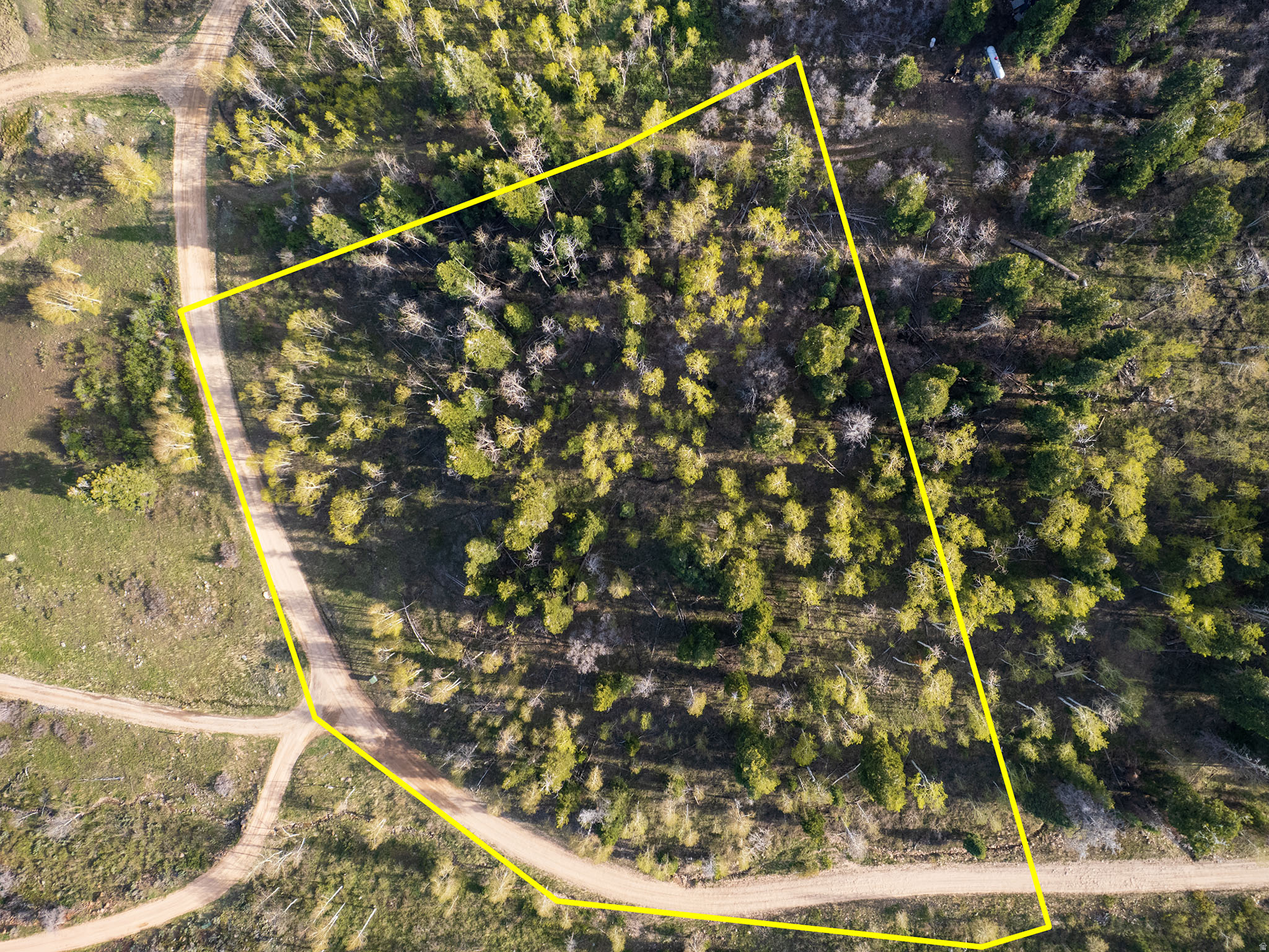FOREST MEADOW - Land