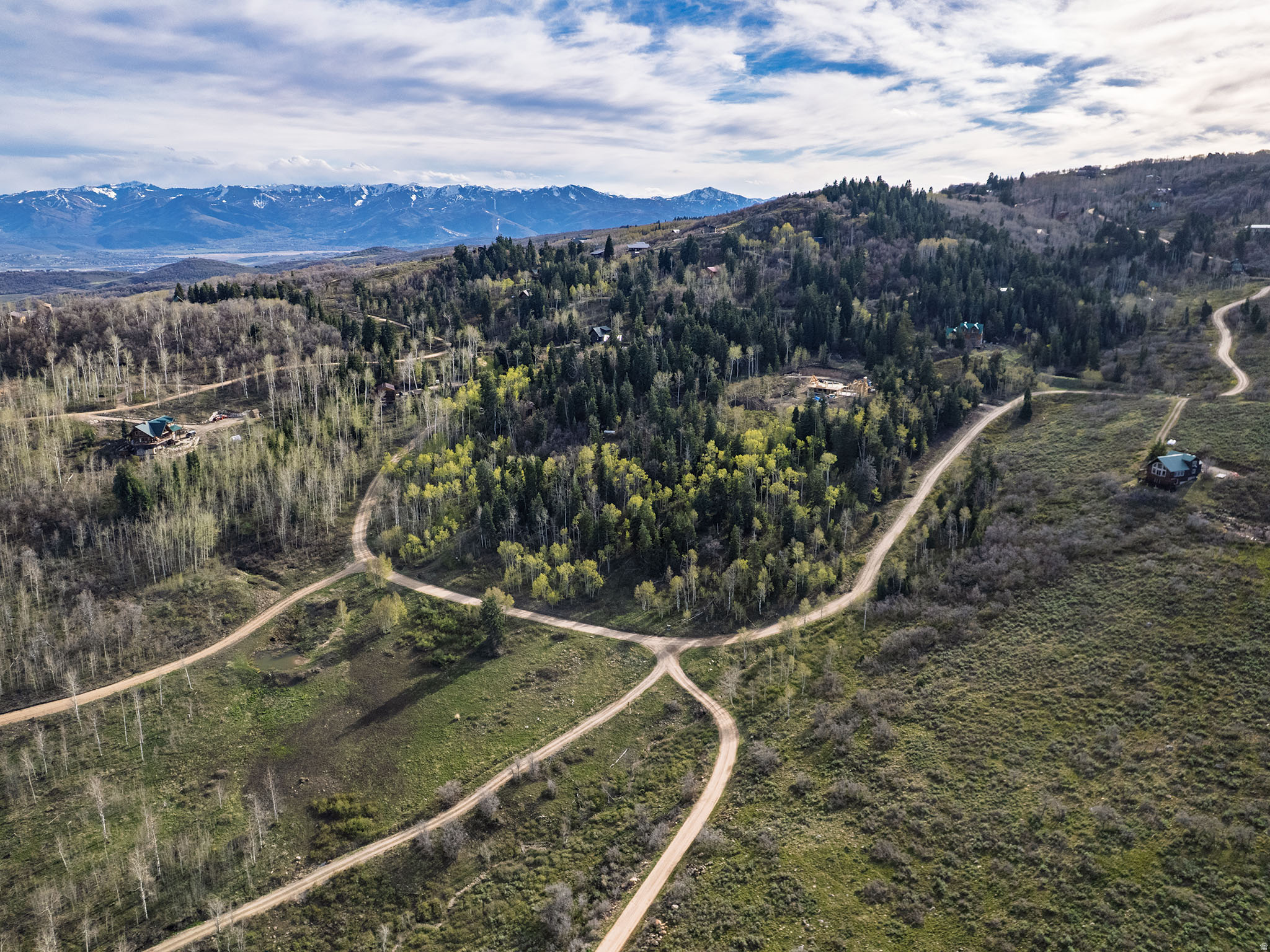 FOREST MEADOW - Land