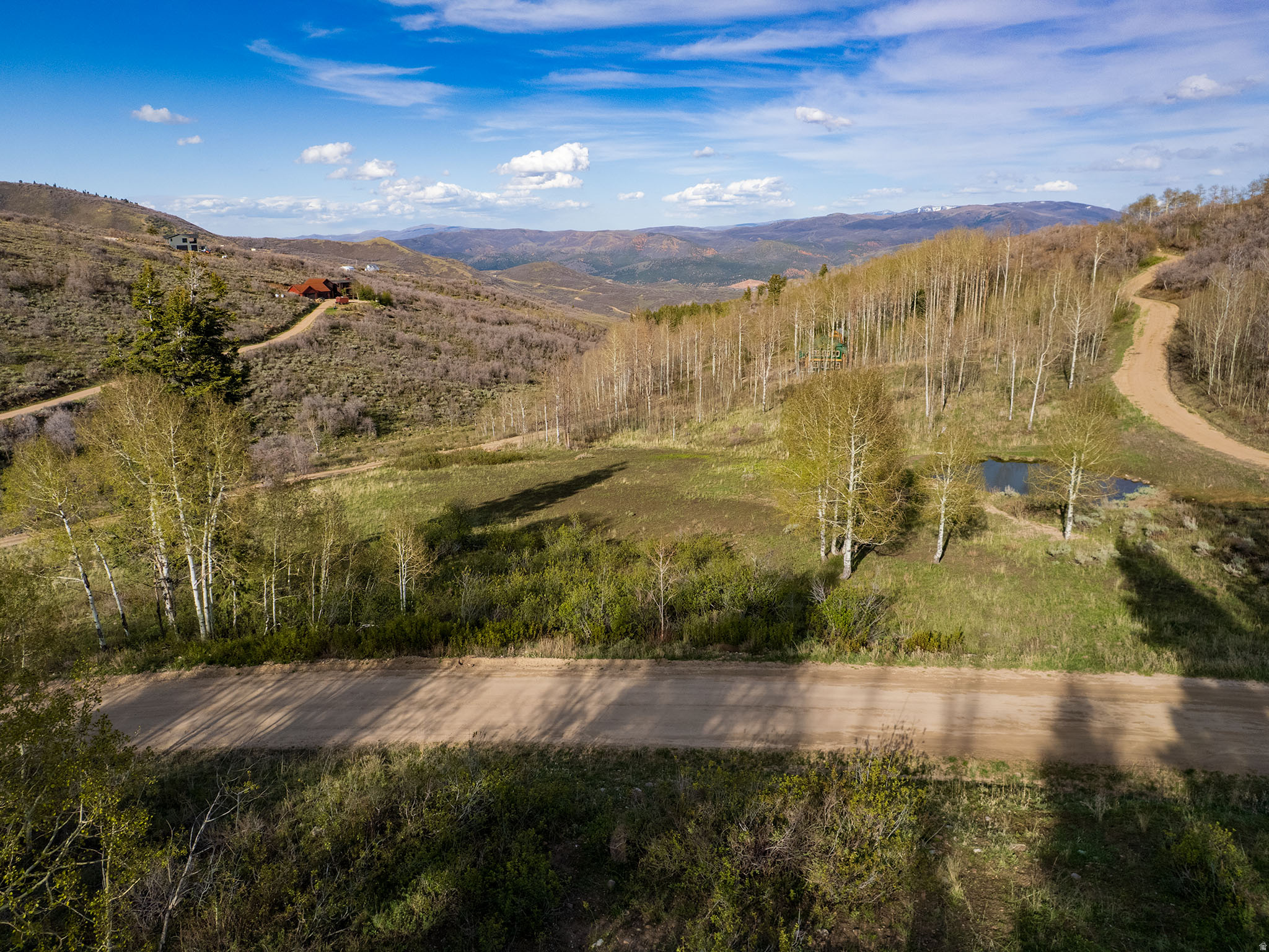 FOREST MEADOW - Land