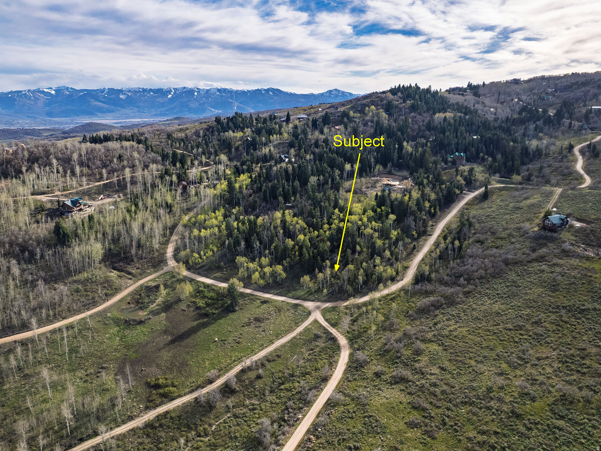 FOREST MEADOW - Land