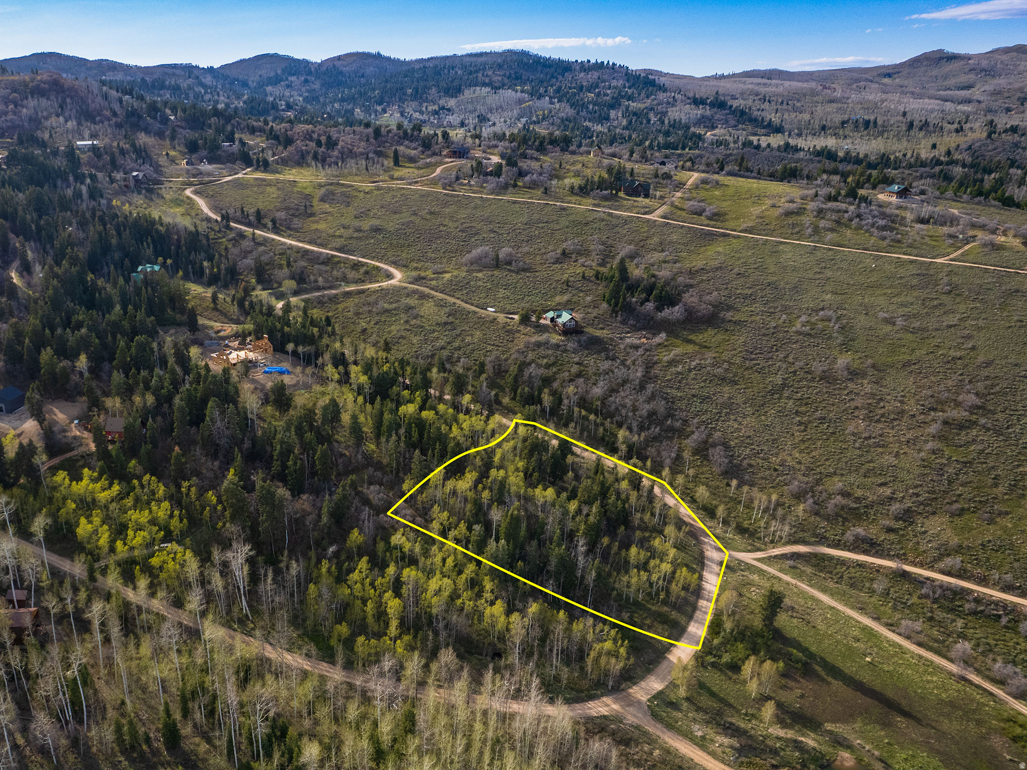 FOREST MEADOW - Land