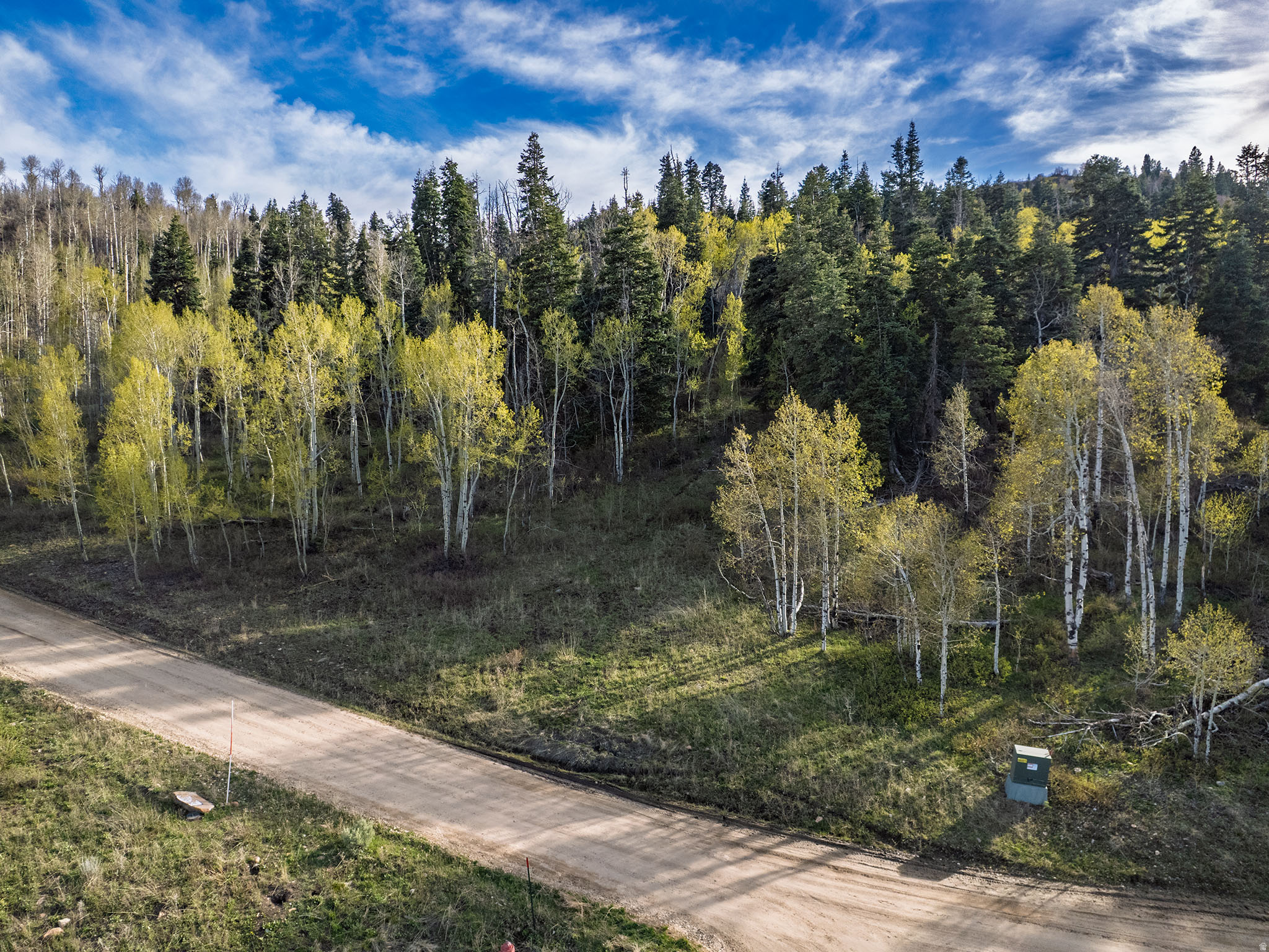 FOREST MEADOW - Land