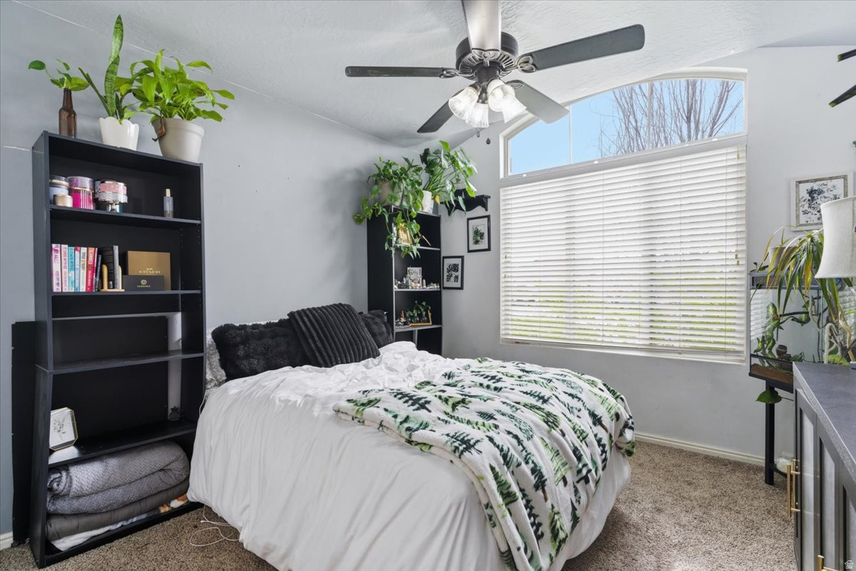 CLINTON HOMESTEAD - Residential