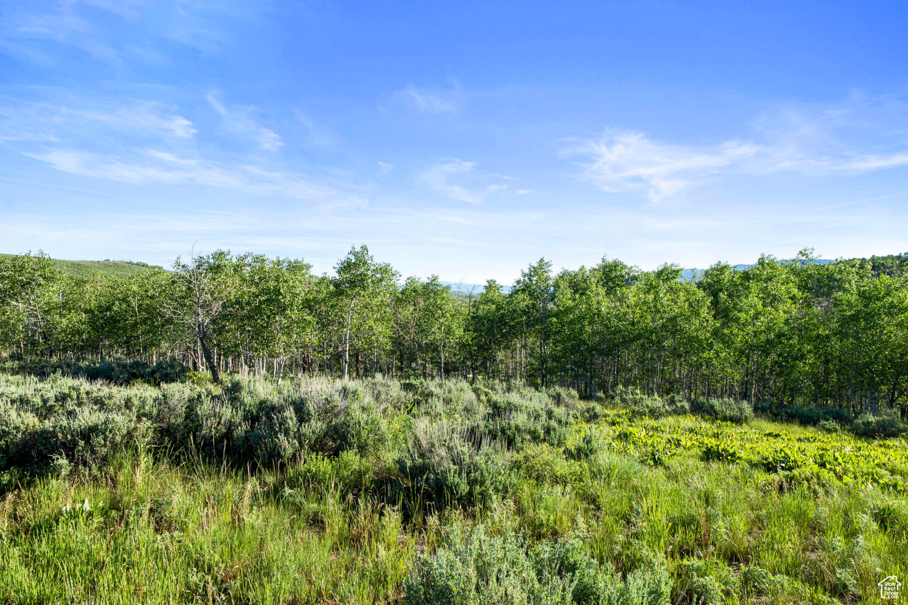 LEGACY RANCH @ MONTE - Commercial Sale