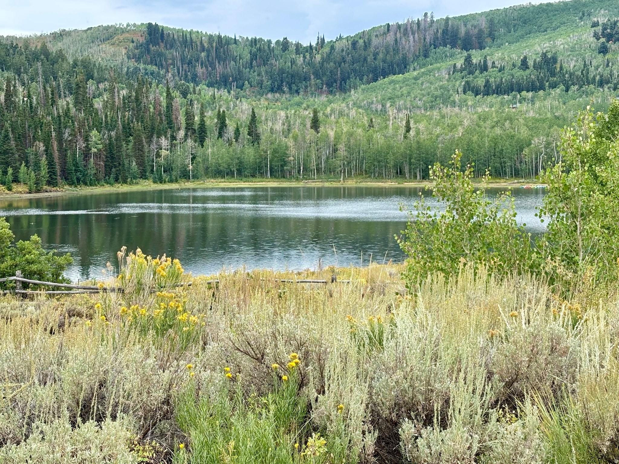 TIMBER LAKES - Land