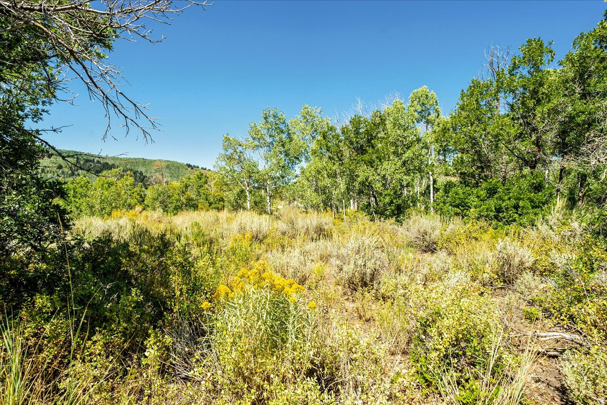 TIMBER LAKES - Land