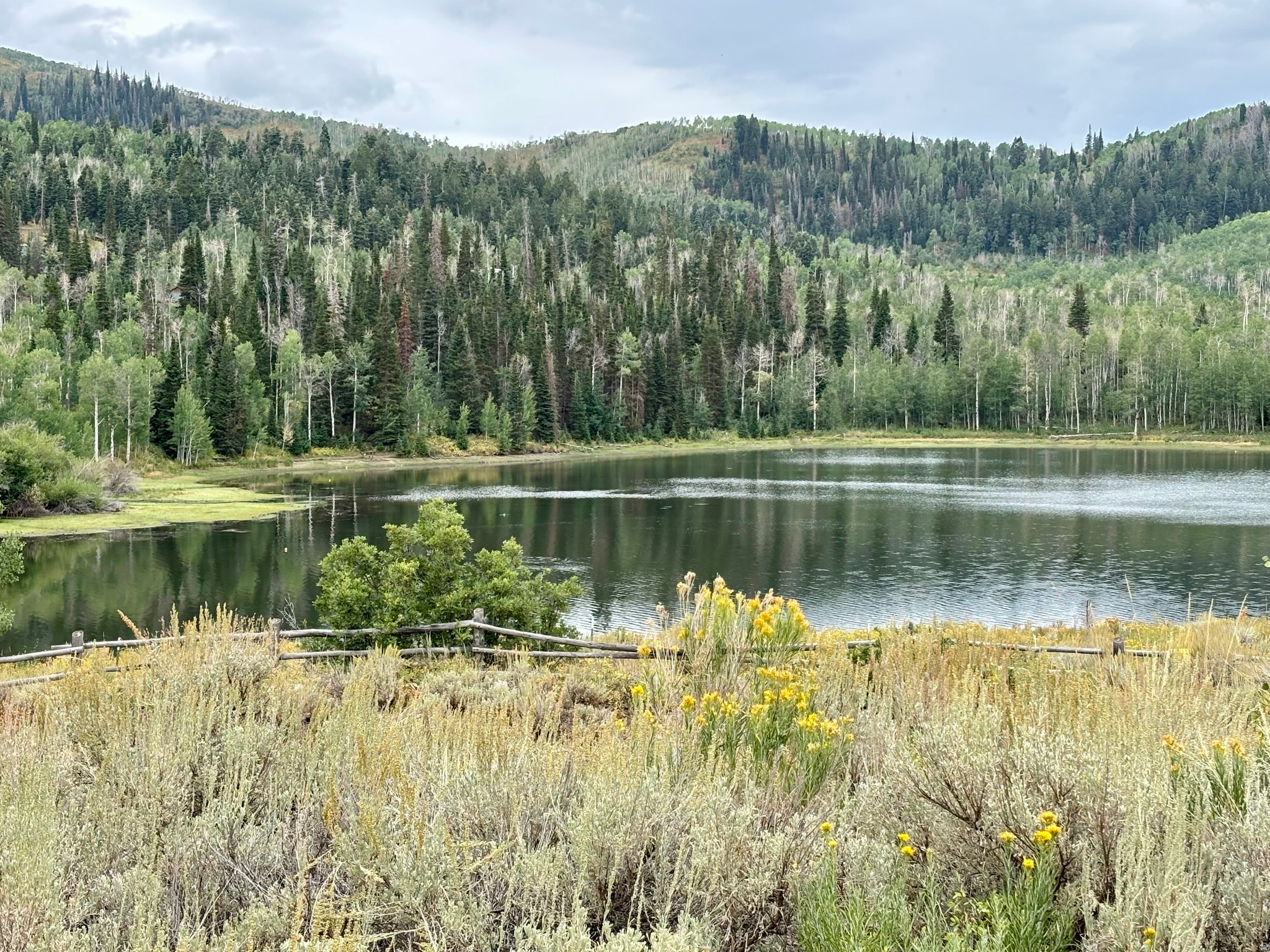TIMBER LAKES - Land