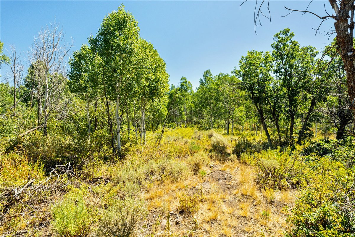 TIMBER LAKES - Land