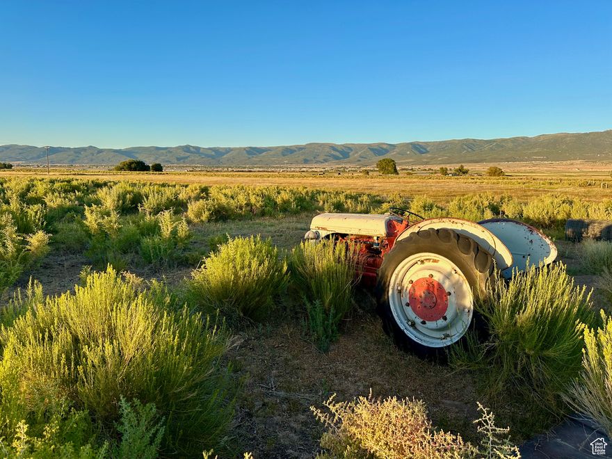 Discover 139.75 acres of land in Sanpete County that offers the perfect setting for your dream home, farm, and private retreat. Located just southwest of Mount Pleasant, this expansive property provides wide-open space and unobstructed 360-degree views. With power already available along the southern boundary and water secured through a private spring and a well drilled in 2022, much of the groundwork has already been done for your future build. This land offers both function and beauty. About 45 acres benefit from natural sub-irrigation, while the remaining acreage provides dry pasture with native brush, making it suitable for gardens, orchards, farming, and raising livestock. The property is fully fenced, so it is ready for animals right away. Privacy is a highlight here. With nearly 140 acres, you can create your own sanctuary away from neighbors while still being just minutes from the amenities of Mount Pleasant. Whether you envision a custom home overlooking the valley, a self-sustaining farm, or a peaceful getaway where you can enjoy Utah's wide-open skies, this property delivers endless opportunity. If you are looking for land that combines utility, space, and seclusion with incredible views in every direction, this Sanpete County property is ready to make that vision a reality.