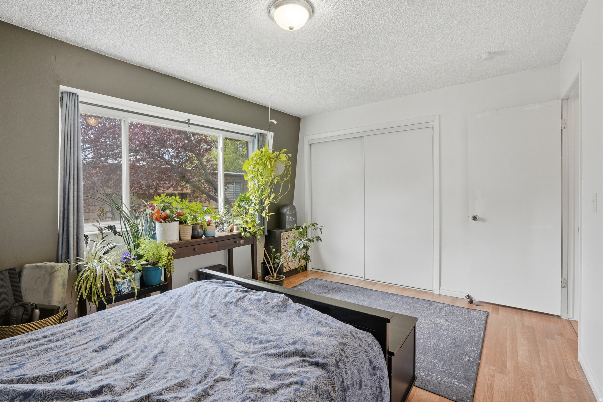 SILVER MAPLES - Residential