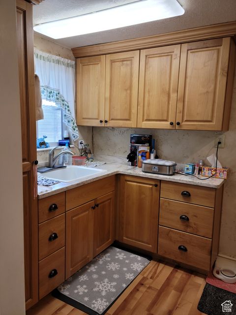 Tiny photo for 83 E MINERS ST, Ophir, UT 84071 (MLS # 2090341)