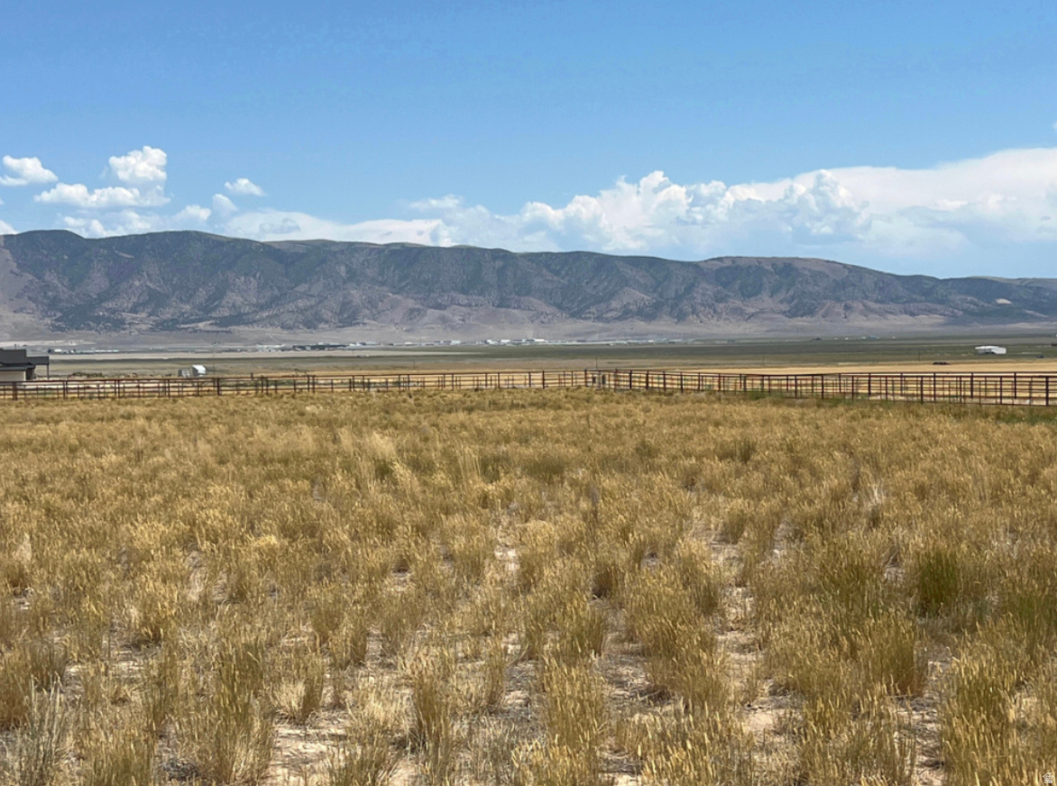 FIREFLY RANCHES - Land