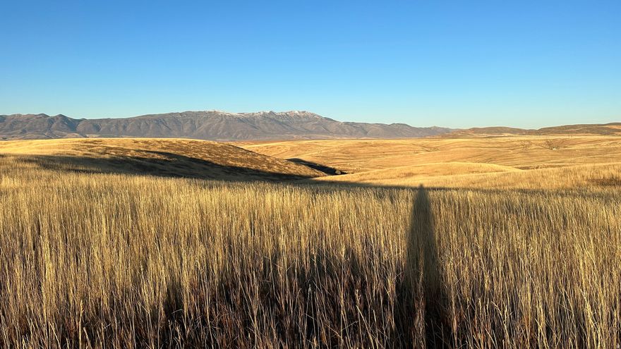 Battle Creek flows through the frontage of this great property. Varied topography will makes this truly, land with many uses. Build yourself a permanent residence or cabin off the grid, fence it and use it for pasture, farm it or us it for you own bird hunting paradise.  Most of the property is planted in grass. This is part of a much larger property listed as MLS# 2136402 under farm and ranch. Click on virtual tour for an interactive map.