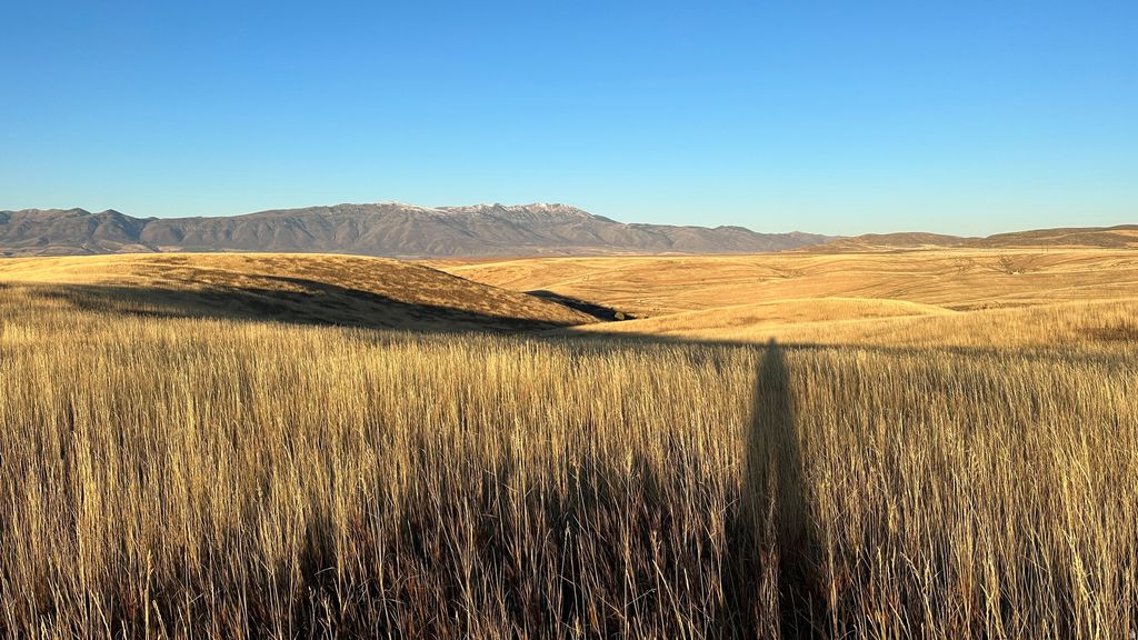 Photo of 255 W MAIL ROUTE RD, Preston, ID 83263 (MLS # 2136581)