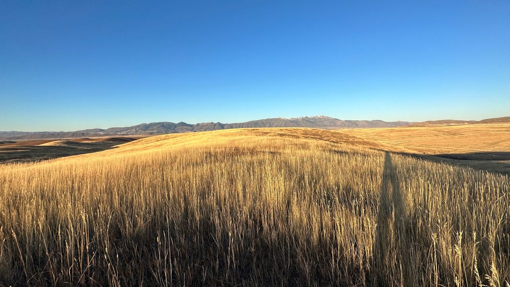 Photo of 255 W MAIL ROUTE RD, Preston, ID 83263 (MLS # 2136581)