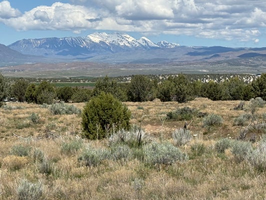 ADDRESS PRIVATE, SPRING CITY, UT 84662 - Image 78f329d8ee7c3d842e3897d62c3f7bea/1734856904