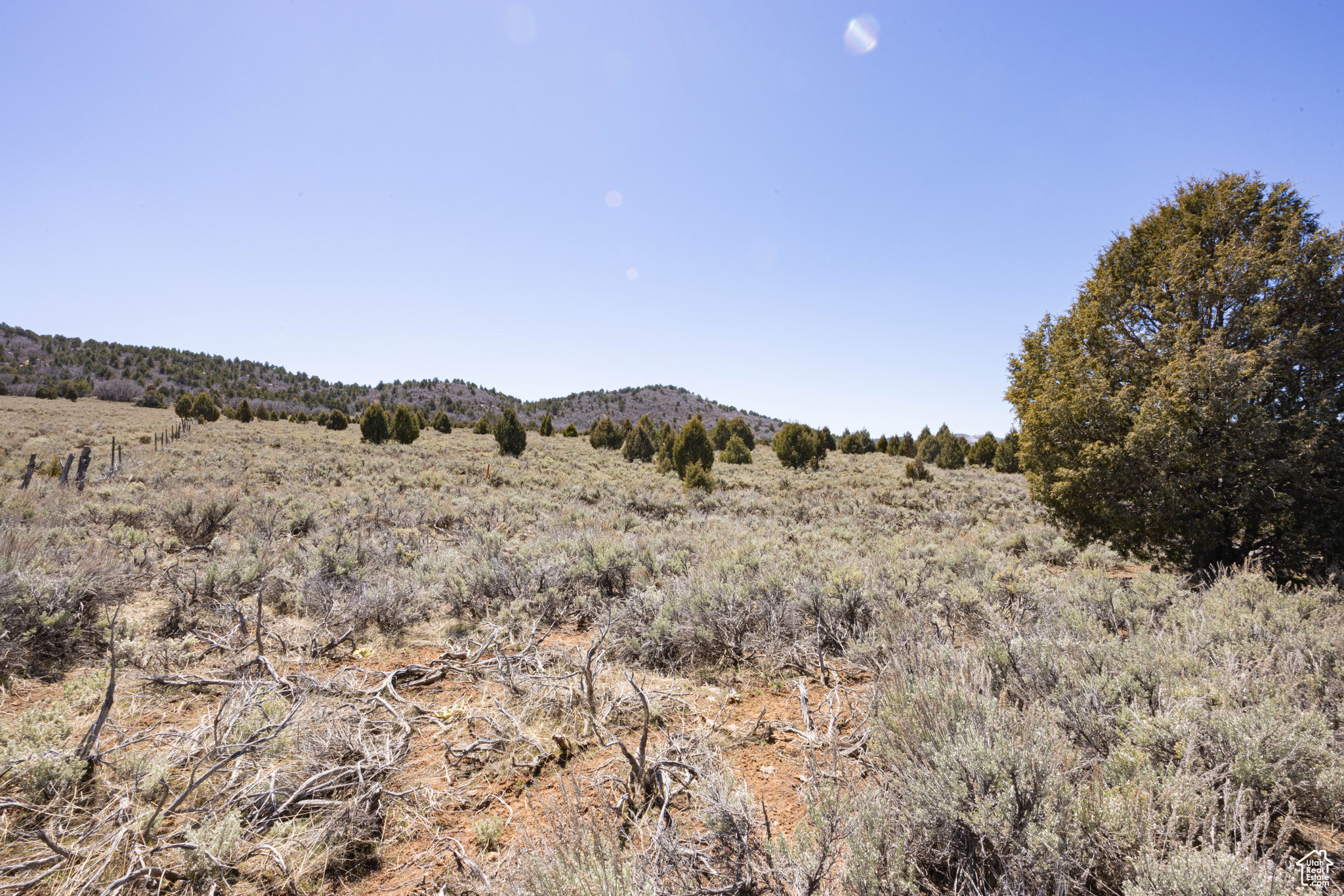 240 Acres In Glendale, Glendale, Utah image 4