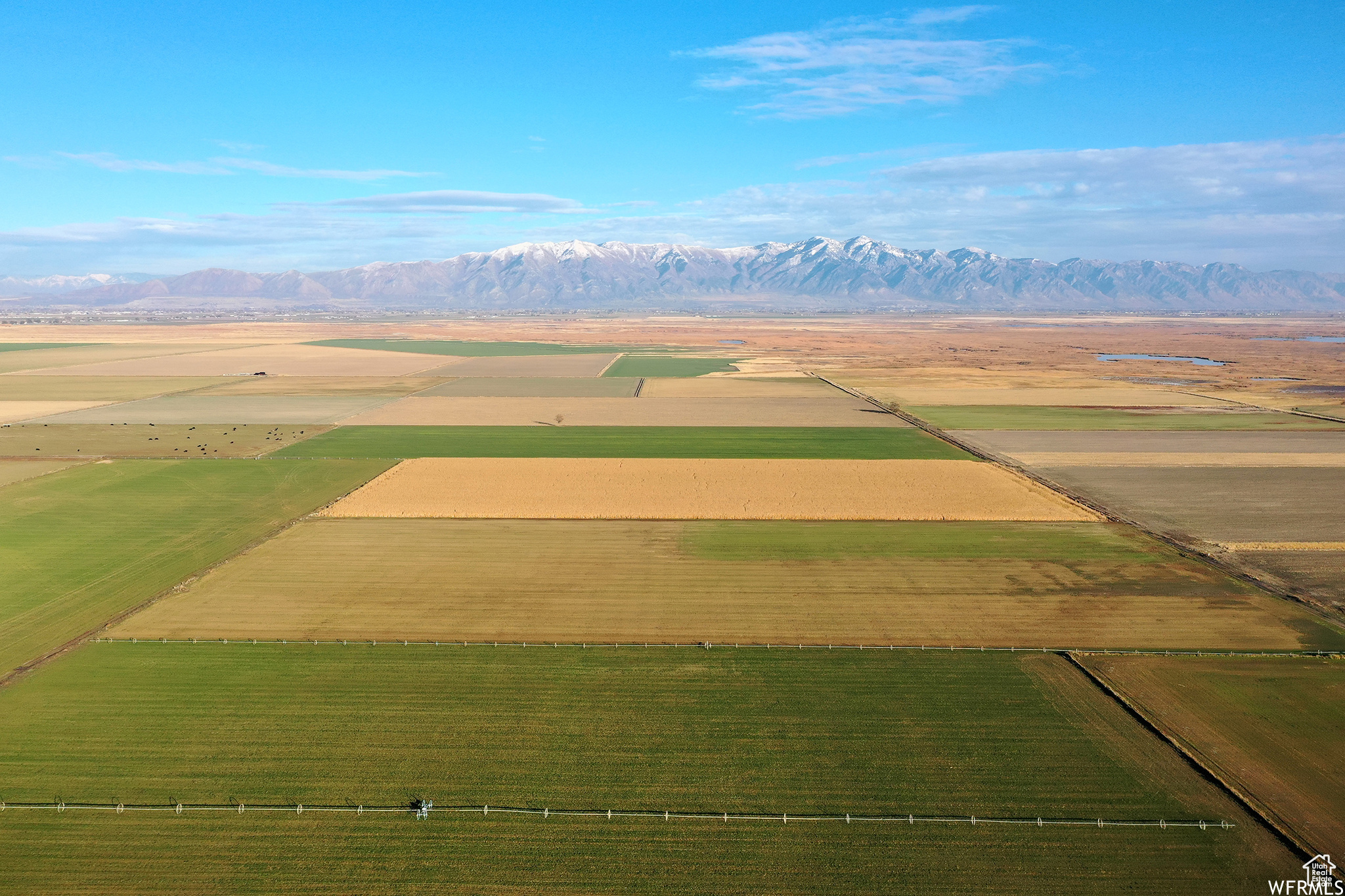 Land, Penrose, Utah image 1