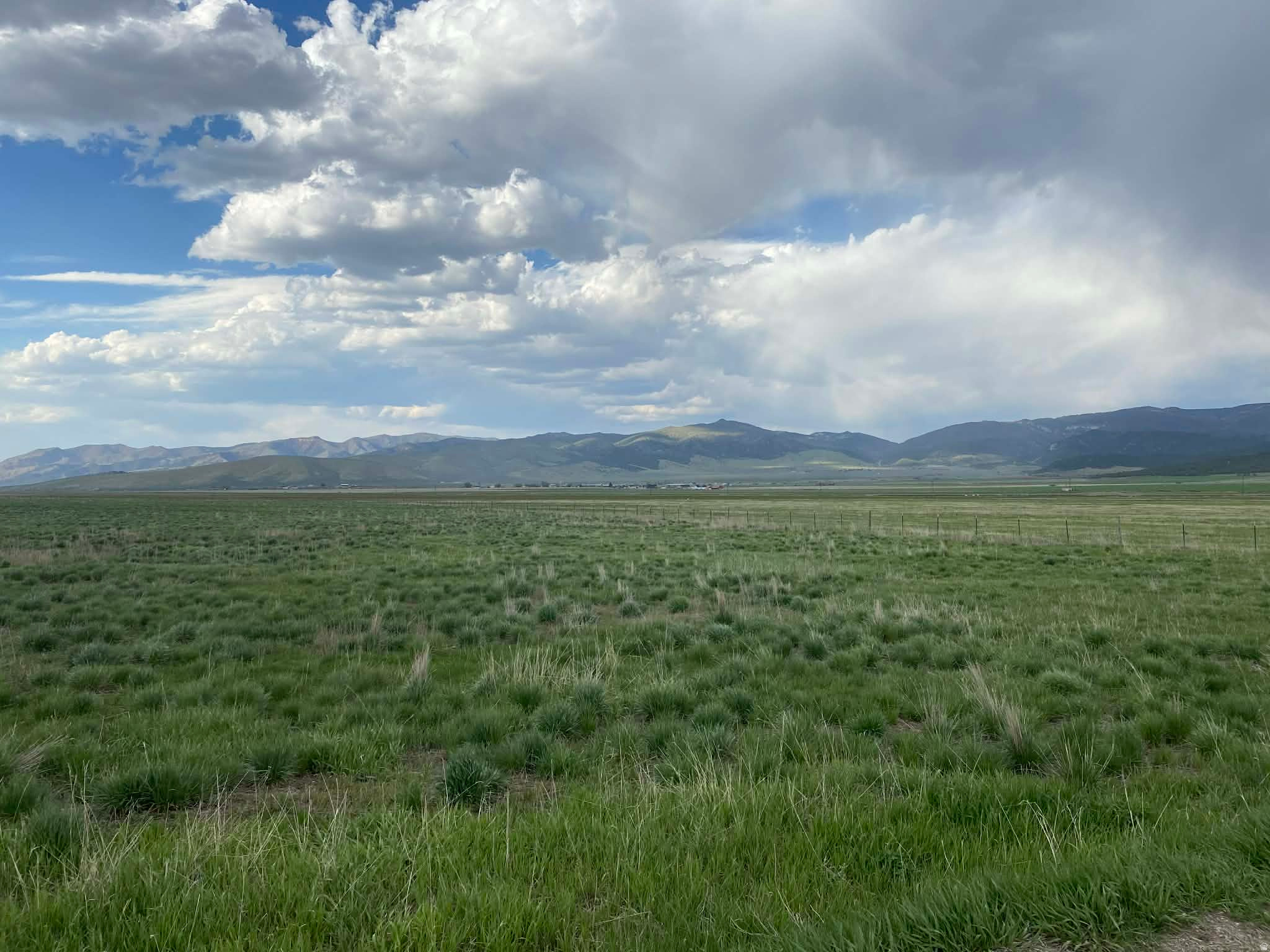 MILLER MEADOWS - Land