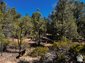 ALL OF LOT 12 BLOCK "C" AMEND. PLAT OF LITTLE POND - Land