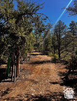 ALL OF LOT 12 BLOCK "C" AMEND. PLAT OF LITTLE POND - Land