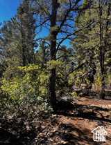 ALL OF LOT 12 BLOCK "C" AMEND. PLAT OF LITTLE POND - Land