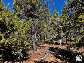 ALL OF LOT 12 BLOCK "C" AMEND. PLAT OF LITTLE POND - Land