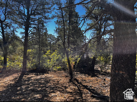 ALL OF LOT 12 BLOCK "C" AMEND. PLAT OF LITTLE POND - Land