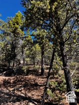 ALL OF LOT 12 BLOCK "C" AMEND. PLAT OF LITTLE POND - Land