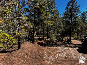ALL OF LOT 12 BLOCK "C" AMEND. PLAT OF LITTLE POND - Land