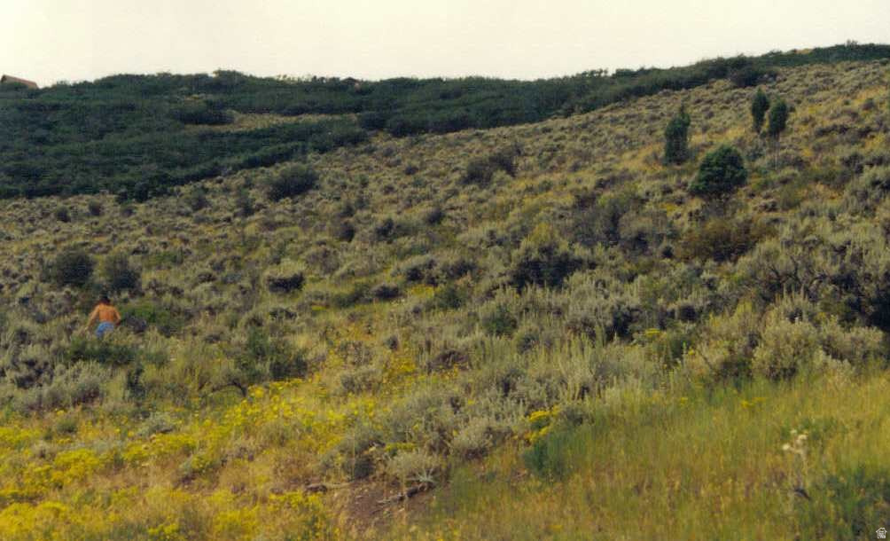 LAKE ROCKPORT ESTATES - Land
