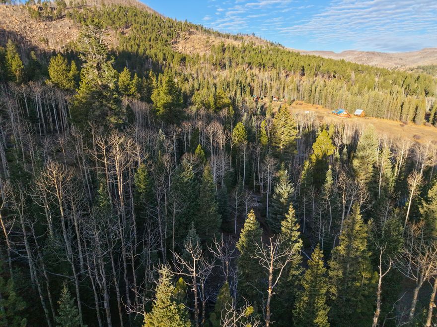 These Clear Creek Estates lots stand out from the rest of the subdivision with something truly rare: direct access to Dixie National Forest right behind the property line. Only a handful of lots in this area back up to thousands of acres of public land, and these are among them. They are also build-ready, with power available and water supplied through a seller-operated, state-approved water company known locally for its clean, refreshing mountain quality and taste. And while nearby areas like Duck Creek have become busier and more expensive, this quieter pocket near Panguitch Lake remains more affordable and less discovered. A nearby stream and sweeping high-country views create an ideal setting for your cabin, getaway, or long-term mountain investment. Enjoy cool summer temperatures, crisp mountain air, and endless outdoor recreation-fishing, boating, hiking, ATV riding, dirt biking, horseback trails, winter fun at Brian Head Resort, and the stunning wonders of Cedar Breaks, Bryce Canyon, Zion National Park, Escalante, and the popular Duck Creek Village area. "Panguitch" comes from the Paiute word for "big fish," and the region lives up to its name with excellent trout fishing and year-round adventure. Whether you're dreaming of a cozy cabin or a peaceful retreat away from city life and desert heat, this location delivers. Nearly year-round access, natural surroundings, and proximity to some of Southern Utah's most iconic landscapes make these lots a standout opportunity. Seller is willing to build to suit, or you may bring your own builder. Seller financing available.