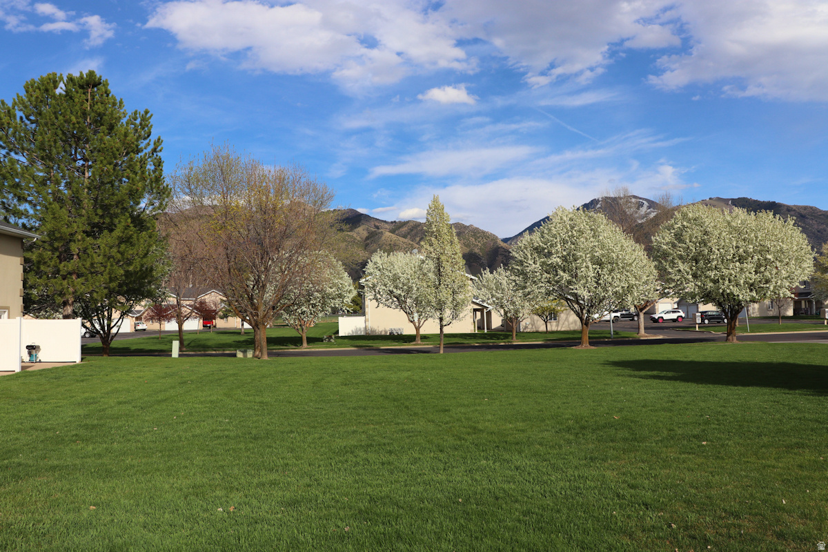 BLACKHAWK - Residential