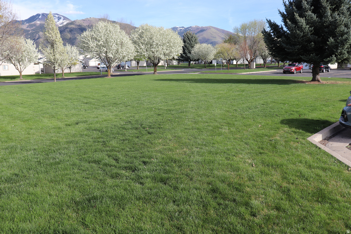 BLACKHAWK - Residential