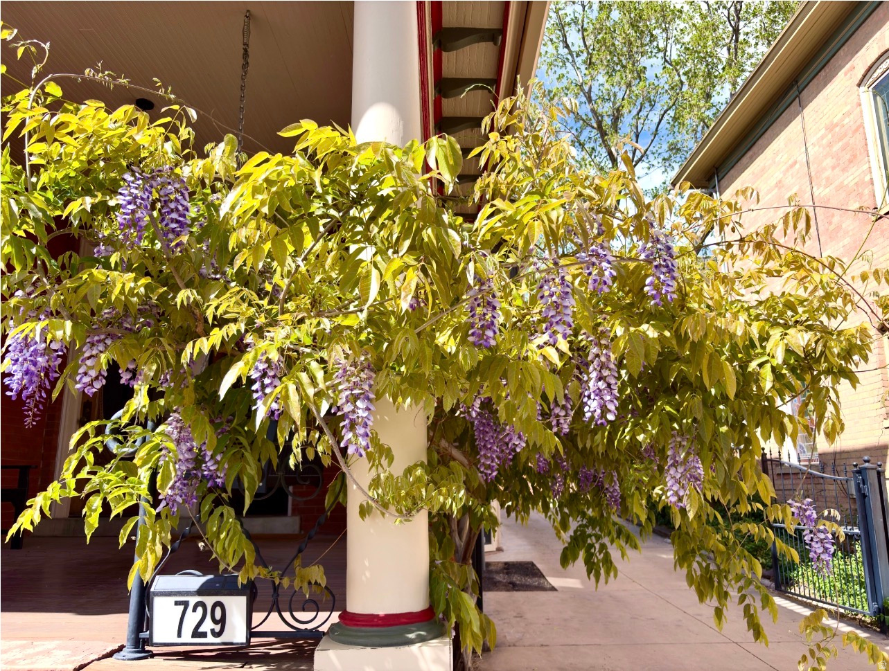 AVENUES - Residential