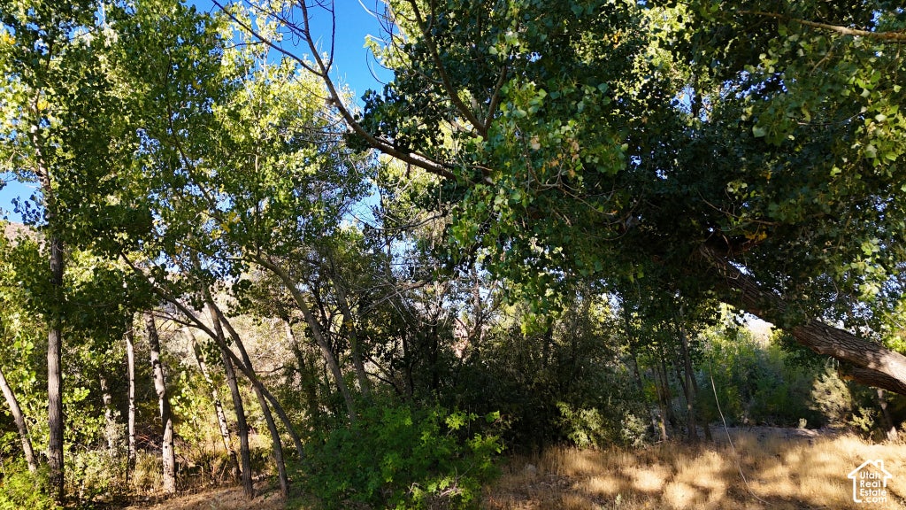 Photo of 1200 E OLD HWY 10, Salina, UT 84654 (MLS # 2188251)
