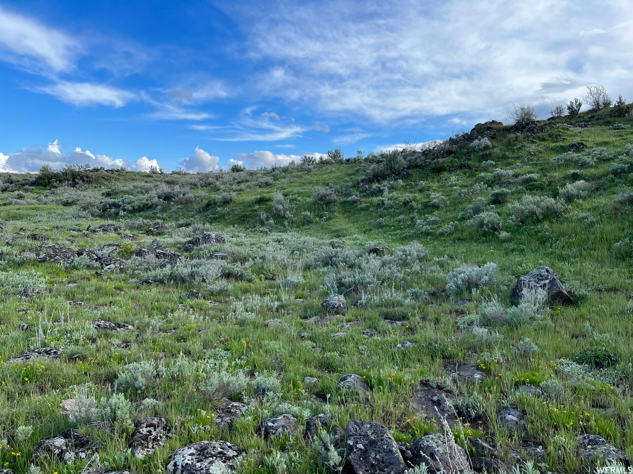 Land, Bancroft, Idaho image 41