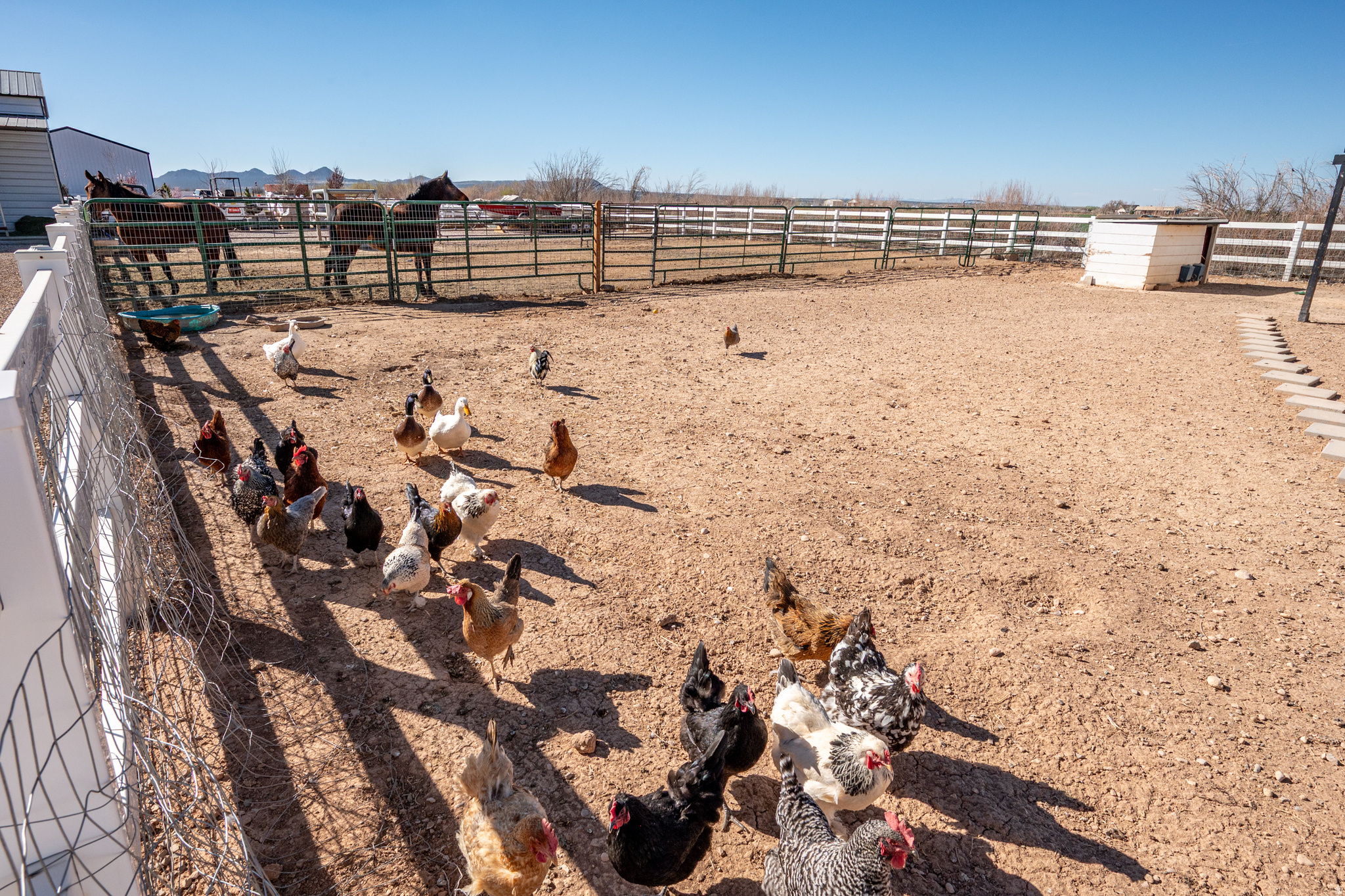 ESTATES AT SUNRISE RANCH - Residential
