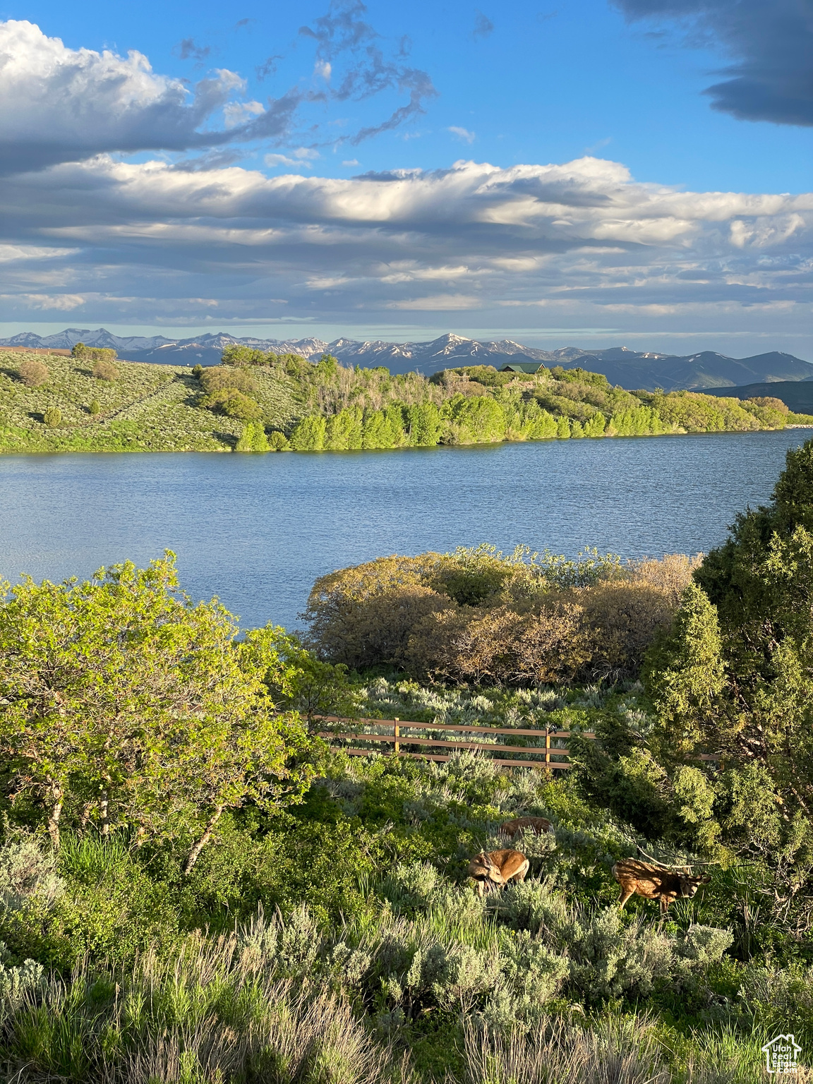 TIMBER LAKES  TIMBERLAKES - Residential