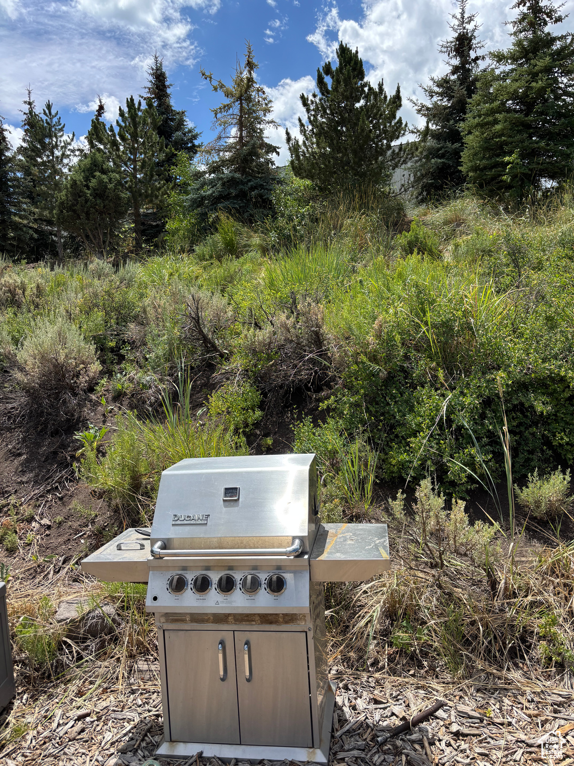 TIMBER LAKES  TIMBERLAKES - Residential