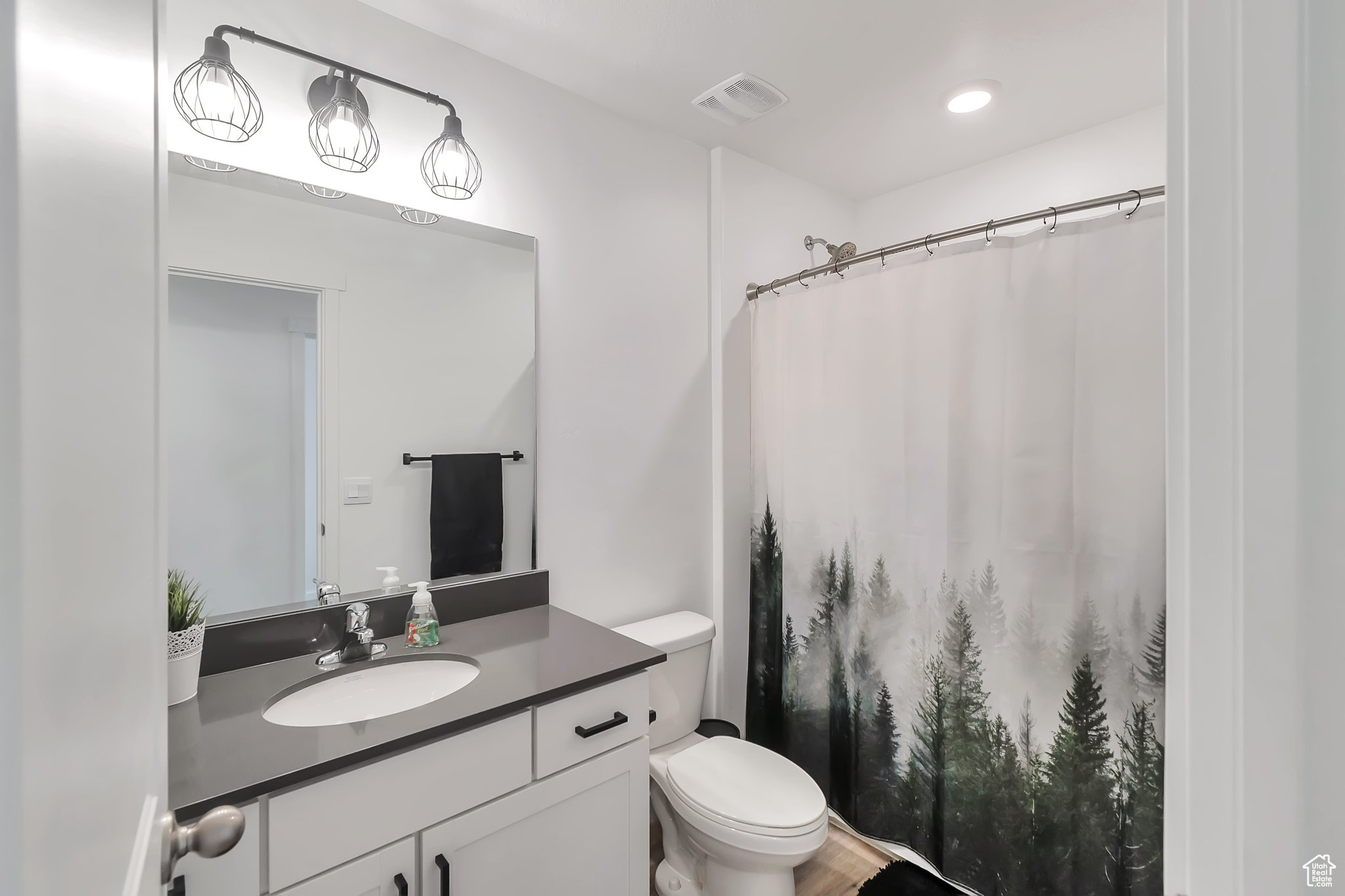1361 S Raintree Ln, Santaquin, Utah image 17