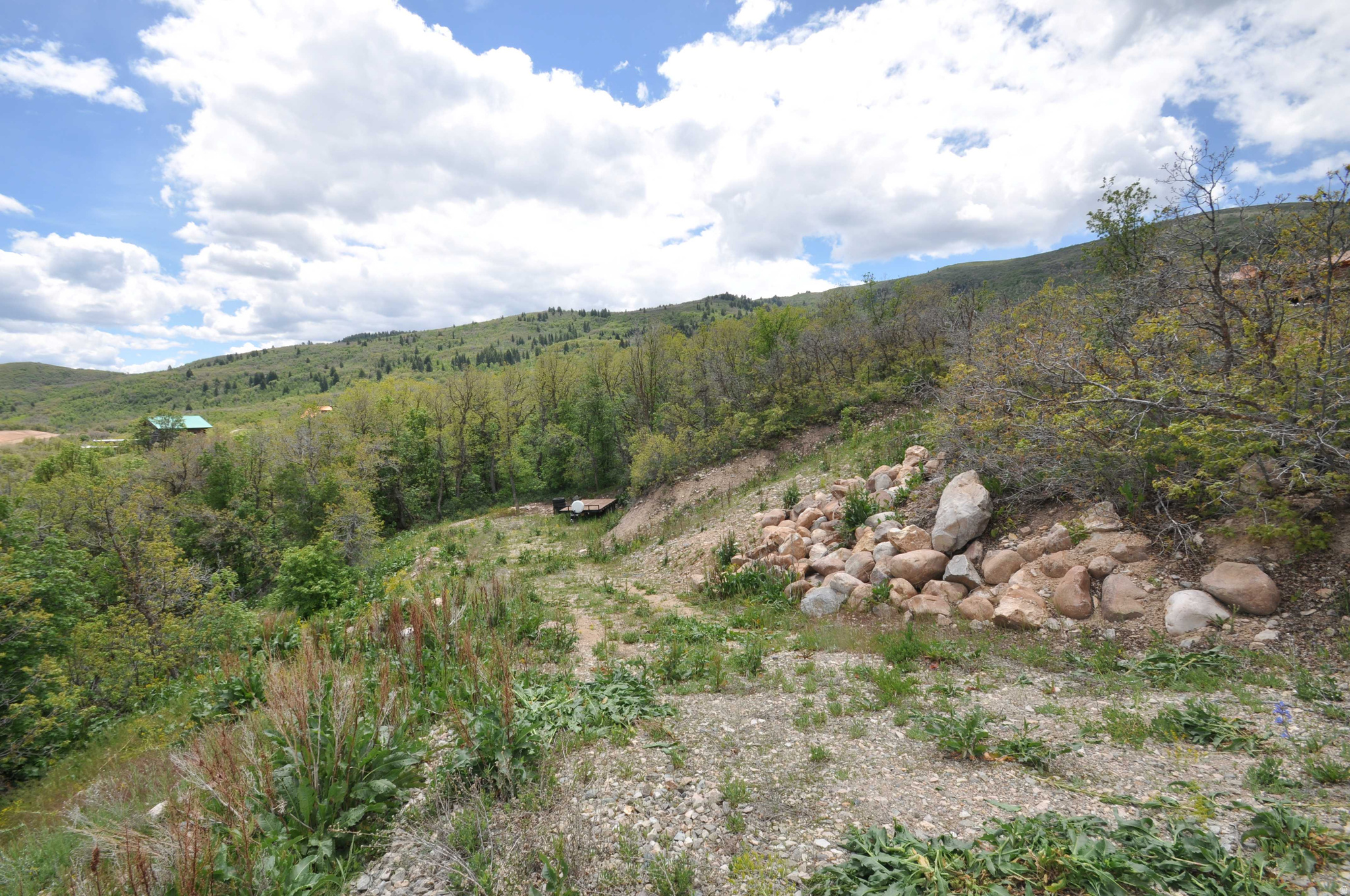 BIG SKY ESTATES - Land